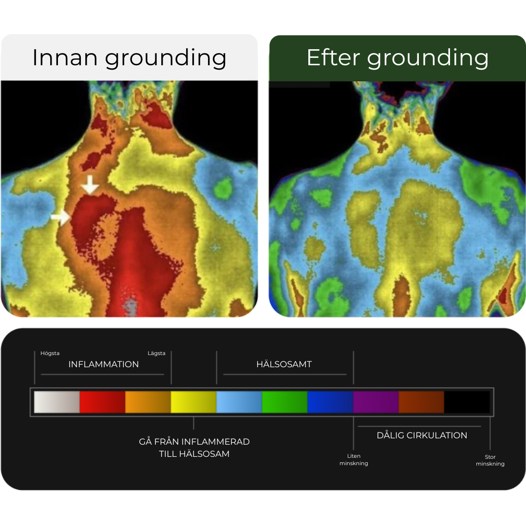 HealthySheet - Vakna upp utvilad